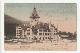 CP AUTRICHE SEMMERING Grand Hotel Erzherzog Johann - Semmering