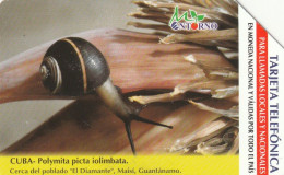 PHONE CARD CUBA URMET (E107.1.7 - Cuba