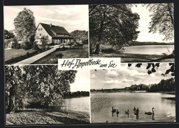 AK Hollenstedt / Nordheide, Gasthaus Hof Appelbeck Am See - Hollenstedt
