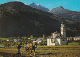 Poschiavo - Feldarbeit Im Puschlav         1970 - Poschiavo