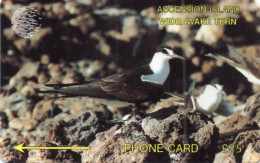 ASCENSION ISLAND - GPT - C&W - 3CASD - BIRD - WIDEAWAKE TERN - Ascension