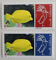 VARIETE SANS SIGNATURE WERLING ! CAGOU PERSONNALISE LOGO POISSON CHIRURGIEN 2020 TIRAGE : 40 EX GS TB - Ongebruikt