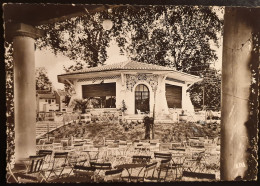 Delcampe - MOISSAC- L' Uvarium. - Moissac