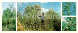 Tigrovaya Balka Nature Reserve - Riparian Thickets - 1983 - Tajikistan USSR - Unused - Tagikistan