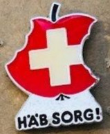 POMME - APFEL - APPLE - MELA - SUISSE - SCHWEIZ - SWITZERLAND - HÄB SORG ! - CROIX - CROQUEE - MORDUE - (BRUN) - Computers