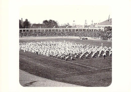 Belgian Modern Mint Postcard With Images Of The 1920 Antwerpen Olympic Games. Postal Weight 0,04 Kg. Please Read Sales C - Ete 1920: Anvers