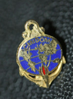 Insigne De Revers De Veste - Années 80 "C.M.I.D.O.M. Centre Militaire D'information Et De Documentation Sur L'outre-mer" - Boats