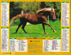 Almanach France LA POSTE 1993 - CHEVAUX - Dpt 28 - Groot Formaat: 1991-00