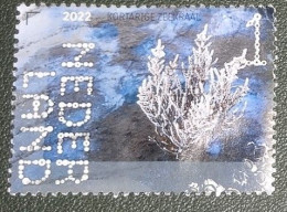 Nederland - NVPH - 4079 - 2022 - Gebruikt - Used - Beleef De Natuur - Kortarige Zeekraal - Oblitérés