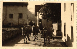 CPA SILS Im ENGADIN Dorfstrasse In Baseglia SWITZERLAND (705290) - Sils Im Engadin/Segl