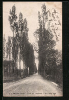 CPA Feyzin, Allée Des Peupliers - Feyzin