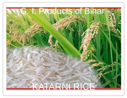India 2025 G.I.PRODUCTS OF BIHAR FRUITS "KATARNI RICE" Mint/Blank PPC Maxim/Picture Post Card As Per Scan - Briefe U. Dokumente