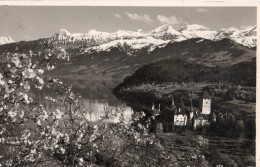 Spiez Am Thunersee - Spiez