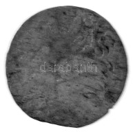 Német Államok / Szilézia / Boroszló 1625. 3pf Ag "II. Ferdinánd" (0,55g) T:F Patina, Kis Kitörés A Peremen German States - Unclassified