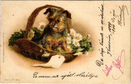 T2/T3 1900 Dog. Verlag Von Wezel & Naumann Serie 27. No. 5. Litho (fl) - Unclassified