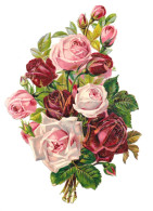 Chromo Image Découpis Fleurs " Bouquet De Roses " Gaufrées - Fleurs