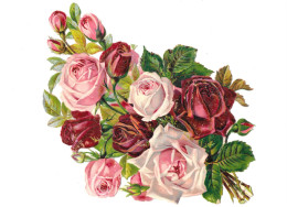 Chromo Image Découpis Fleurs " Bouquet De Roses " Gaufrées - Fleurs