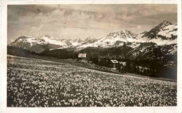 Arosa - Arosa