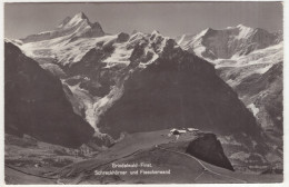 Delcampe - Grindelwald-First. Schreckhörner Und Fiescherwand - (Schweiz/Suisse) - Grindelwald