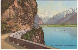 11587 Axenstrasse Und Bristenstock - (Schweiz/Suisse) - Ingenbohl