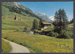 120865/ PLATTA Mit Piz Tremoggia - Sils Im Engadin/Segl
