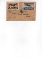 POLOGNE. POZNAN - AERO-TAG - 1921 - Avions