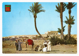 Delcampe - Morocco | MAROC TYPIQUE - Tanger (طنجة) Chameaux Dans Une Oasis - à L'hôtel "Slavija" De Belgrade, Yougoslavie [1969] - Tanger