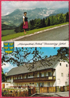 AK: Breitenstein Am Semmering, Alpebgasthof Orthof, Ungelaufen (Nr. 2989) - Semmering