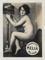 Mélia Cigarettes Photo Nu Féminin Académique Femme Nue Risque érotisme éros Lampe à Pétrole - Objetos Publicitarios
