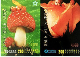 China Telecom Mushrooms And Children - Flowers