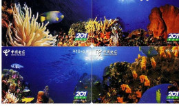 China Telecom Underwater World - Puzzles
