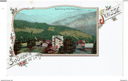BEATENBERG  - SOUVENIR DE LA SUISSE - Baetenberg, Hôtel Silberhorn - Lithographie Couleur 1900 - ( Pas Courant ) - Beatenberg