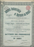 SOCIETE INDUSTRIELLE ET AGRICOLE AU BRESIL - ACTION DE PRIORITE - ANNEE 1906 - Agriculture