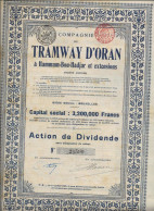 COMPAGNIE DU TRAMWAY  D'ORAN  A AMMAM-BOU -HADJAR  ET EXTENSIONS - ACTION DE DIVIDENDE - ANNEE 1946 - Spoorwegen En Trams