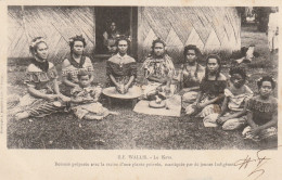 CPA-WALLIS-Le Kava - Wallis E Futuna