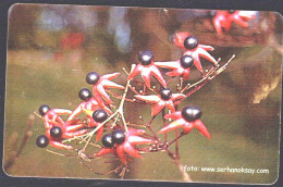 TURKEY 2005 PHONECARD FLOWERS 100 UNITS. WITH CHIP USED VF!! - Turchia