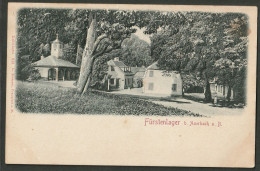 Delcampe - Auerbach A.B. - Fürstenlager Bei Auerbach - Geprägt!! - Auerbach