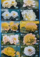 China Telecom Peony - Flowers