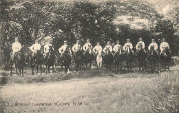 Antilles - Iles Vierges - SAINT-CROIX - DWI - Mounted Gendarmes - Jungferninseln, Amerik.