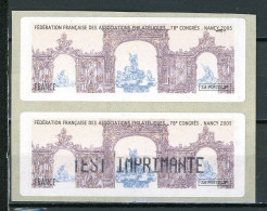 BT4-1 Timbres De Distributeur 2 Vignettes Attenantes TEST IMPRIMANTE Tenant à Sans Valeur Nancy 2005 - 1999-2009 Vignettes Illustrées