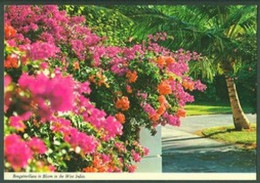 Postcard By John Hinde Limited - Publisher & Edition - Saint Lucia Island, Antilles, Caribbean Sea - St. Lucia