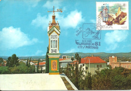 31522 Carte Maximum - Portugal - Algarve - Chaminé Tipica Algarvia Cheminee Typique Typical Chimney - Maximum Cards & Covers