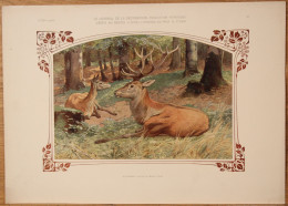 7 Lithos Vintage Du Journal De La Décoration - Art Nouveau / Art Deco