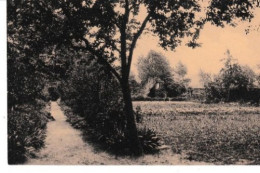 GEO St Lievens Houthem Pensionnat St Lieven Une Vue Dans Le Jardi - Sint-Lievens-Houtem