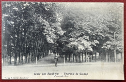 Gruss Aus Sennheim Cernay - Souvenir De Cernay - Promenade Grün Vue Pas Courante Qui A Circulée Le 16/08/1906 - Cernay