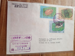 2 Reg Letter Used Reg.locally In Cuba. Insect.coleopters.2857/63.1994e7rletter Late Posting April 22+ - Covers & Documents