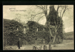 AK Zehdenick, Südflügel Der Klosterruine - Zehdenick