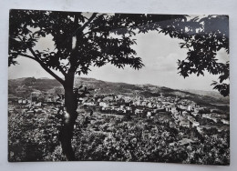 Delcampe - Castel Del Piano - MONTE AMIATA - Staz. Clim. Panorama - Vg T4 - Grosseto