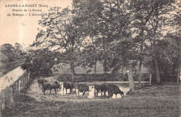Delcampe - LYONS LA FORET  -  Prairie De La Ferme De Hideuse  -  L 'abreuvoir ( Vaches ) - Lyons-la-Forêt