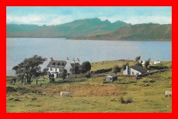 CPSM/gf ISLE OF SKYE (Ecosse) The  Cuillins Of Skye From Ord..*18529 - Ross & Cromarty